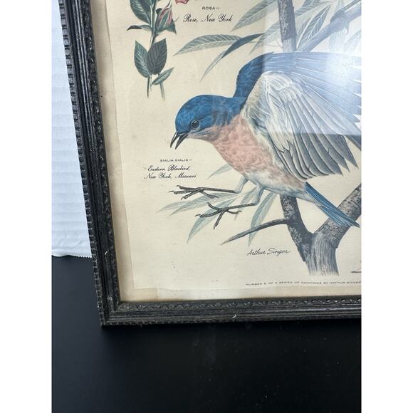 VTG 1950's Arthur Singer Framed Bird Lithograph Print signed Original Frame - Picture 3 of 10